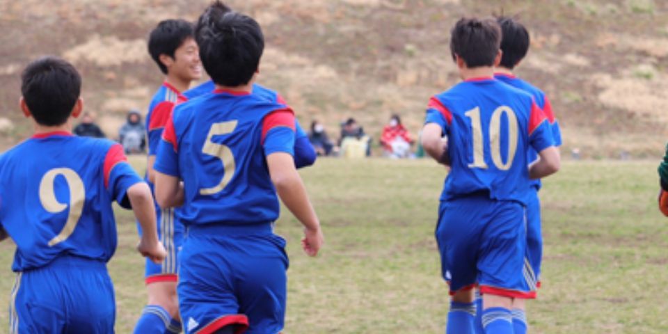 s__8339459.jpg